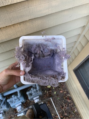 Homeowners in NJ address bird nest removal with professional assistance to ensure safety