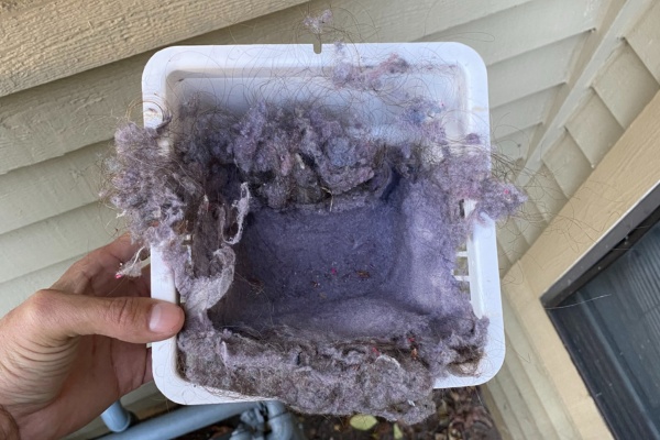 Removal of a bird nest from an unconventional location in New Jersey during the spring cleaning season