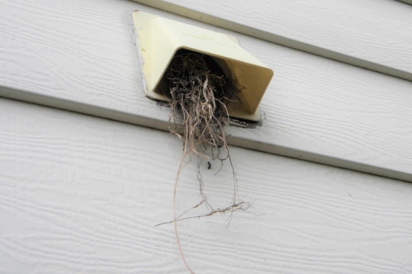 Bird nest removal service in New Jersey clears blocked vent to ensure proper airflow for homes and buildings