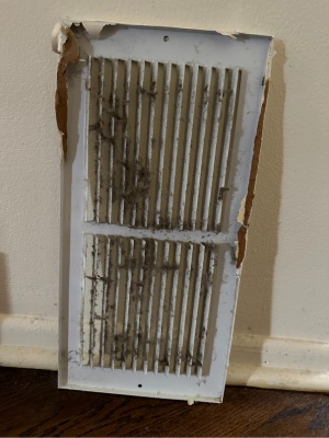 Cleaning a mini split air conditioner filter to maintain optimal performance and air quality in a home setting Cleaning a mini split air conditioner filter to maintain optimal performance and air quality in a home setting
