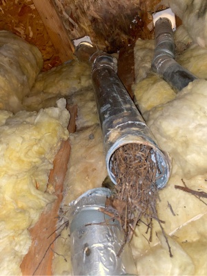 Roof bird nest removal in New Jersey to prevent blockages and damage in home ventilation systems