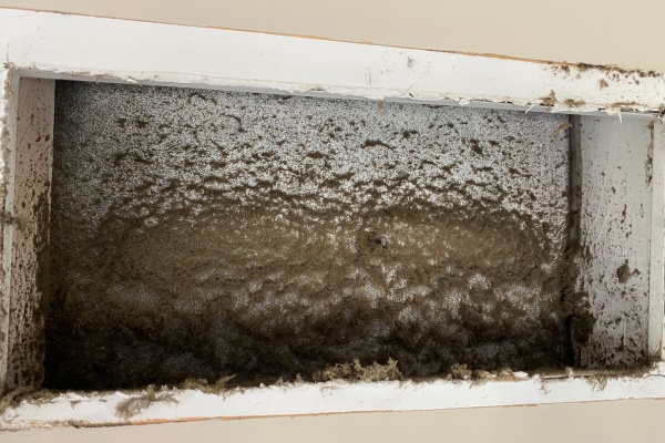Black mold found in HVAC system revealing potential health hazards in New Jersey homes Black mold found in HVAC system revealing potential health hazards in New Jersey homes