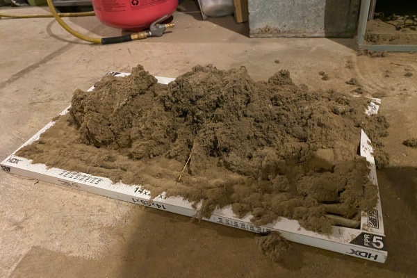 Mold accumulation on hvac unit in new jersey basement during winter months Mold accumulation on hvac unit in new jersey basement during winter months